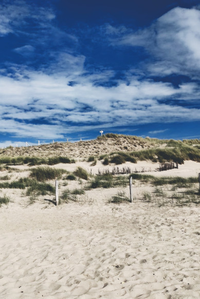 Rondje-wandelen-in-de-duinen-van-petten